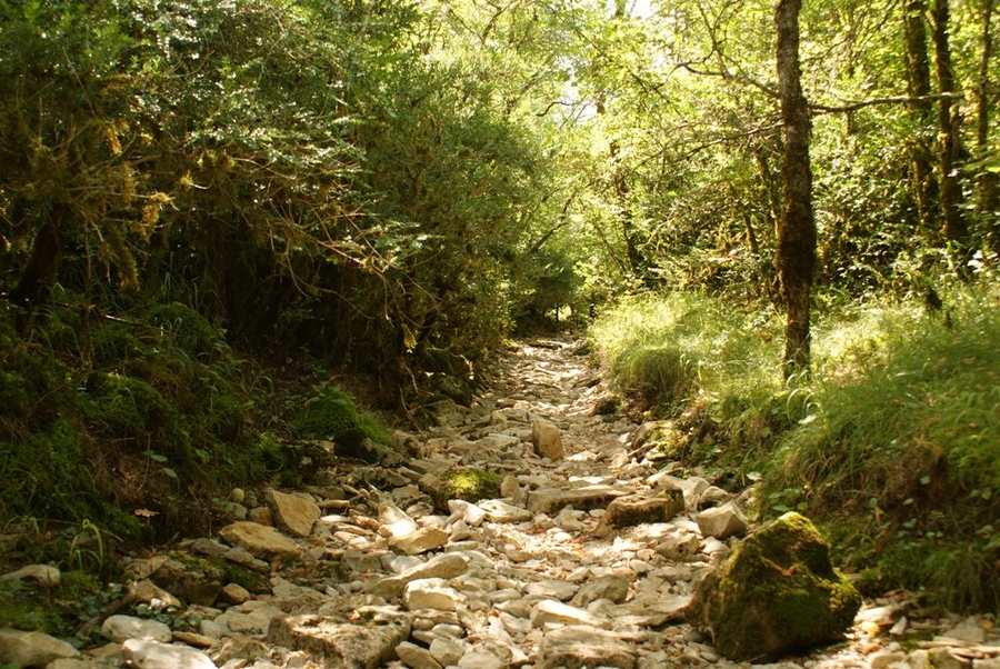 10 le chemin aprés Cajarc